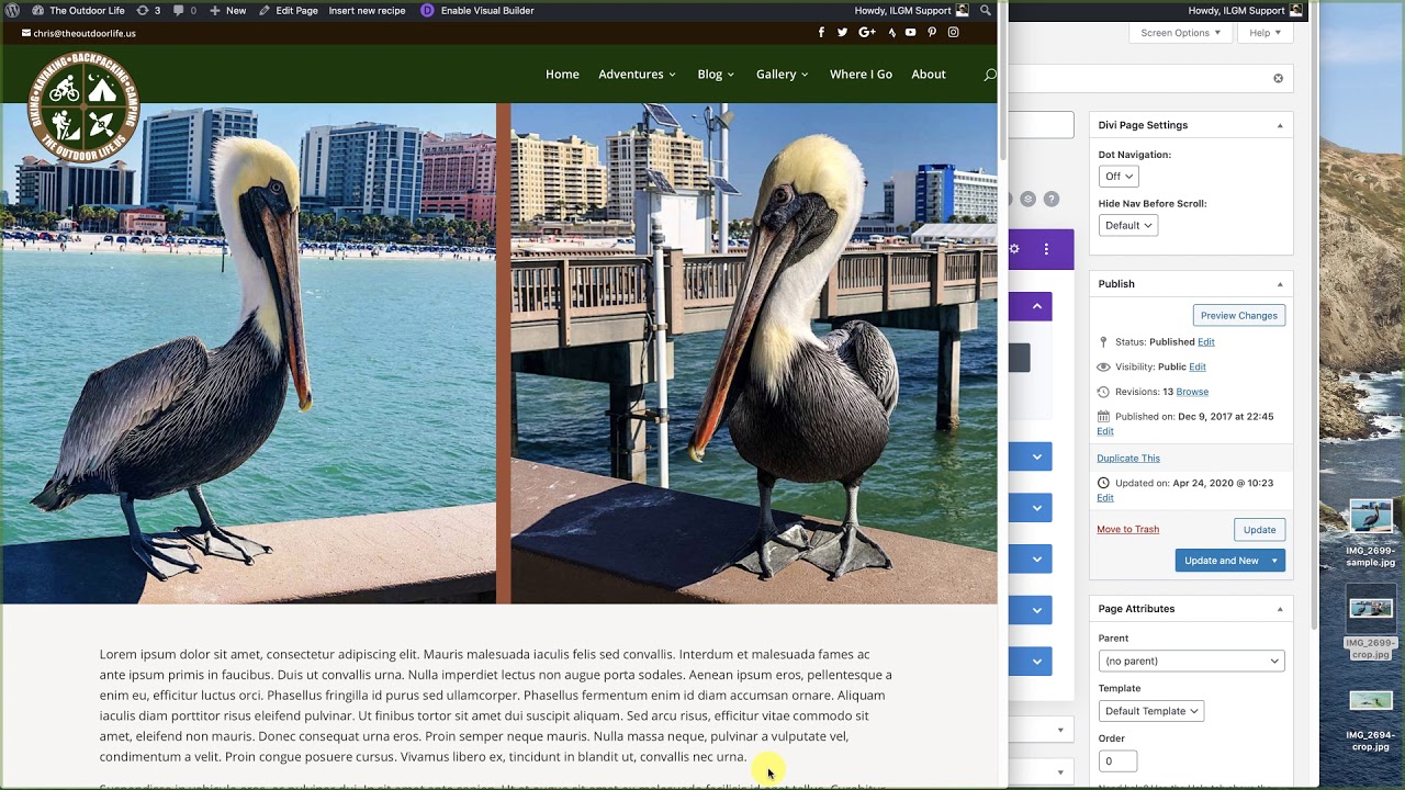 Divi Slider Basics