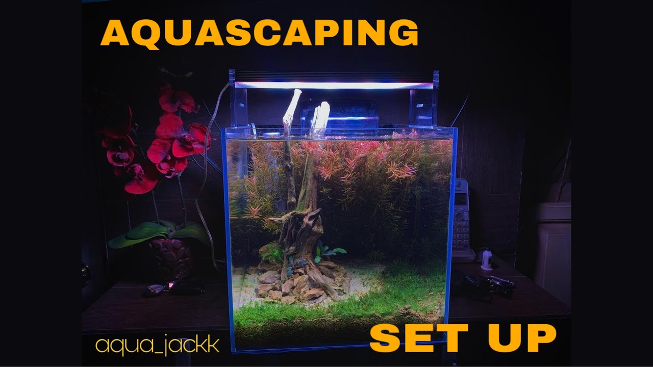 ACUARIO PLANTADO HIGH TECH/ALTA TECNOLOG&Iacute;A CUBO 30CM AQUASCAPING SET UP