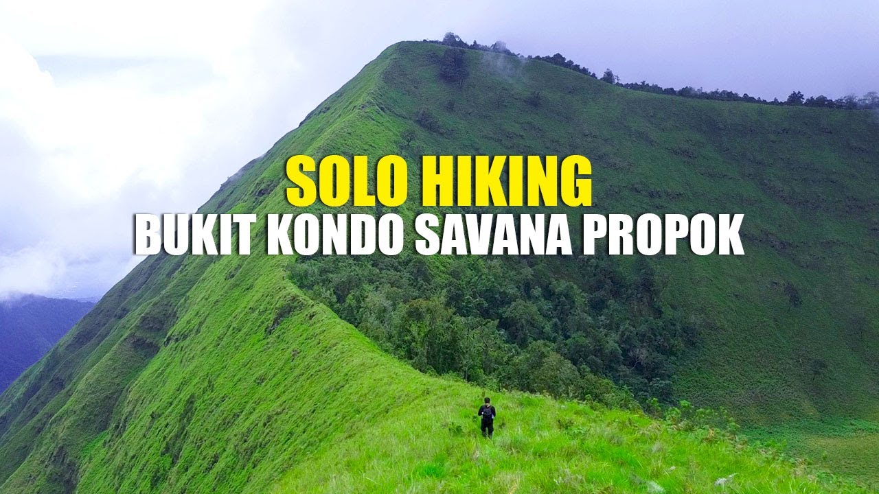 SOLO HIKING - BUKIT KONDO VIA SAVANA PROPOK 1937 MDPL - SEVEN SUMMIT SEMBALUN