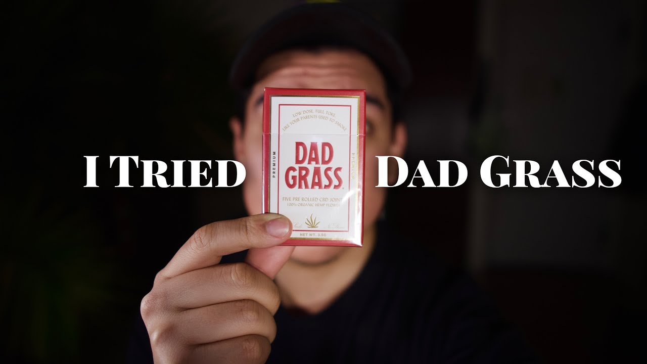 I Tried Dad Grass&hellip; and Compared it to qiwi