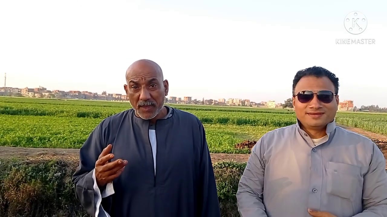 كواليس من مزرعه التاجر الفصيح وأثناء بيع العجله البقر