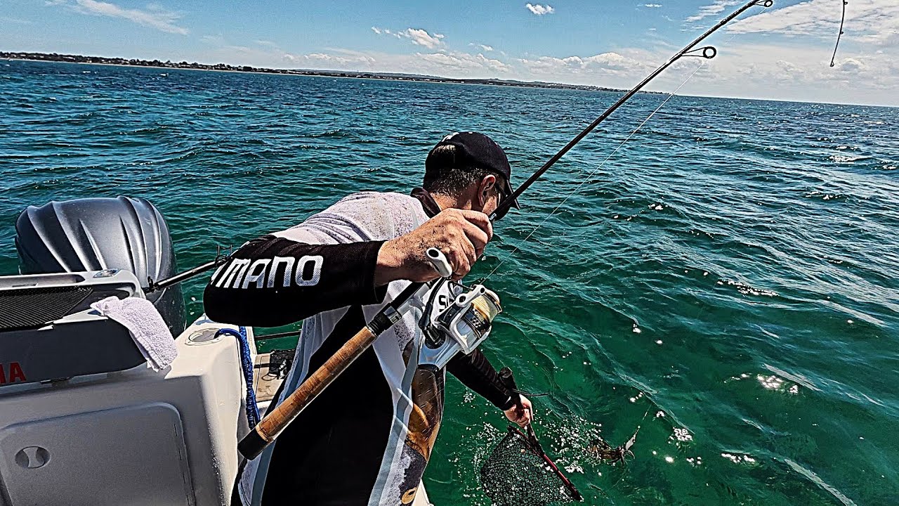 This spot is loaded non stop squid carnage!!
