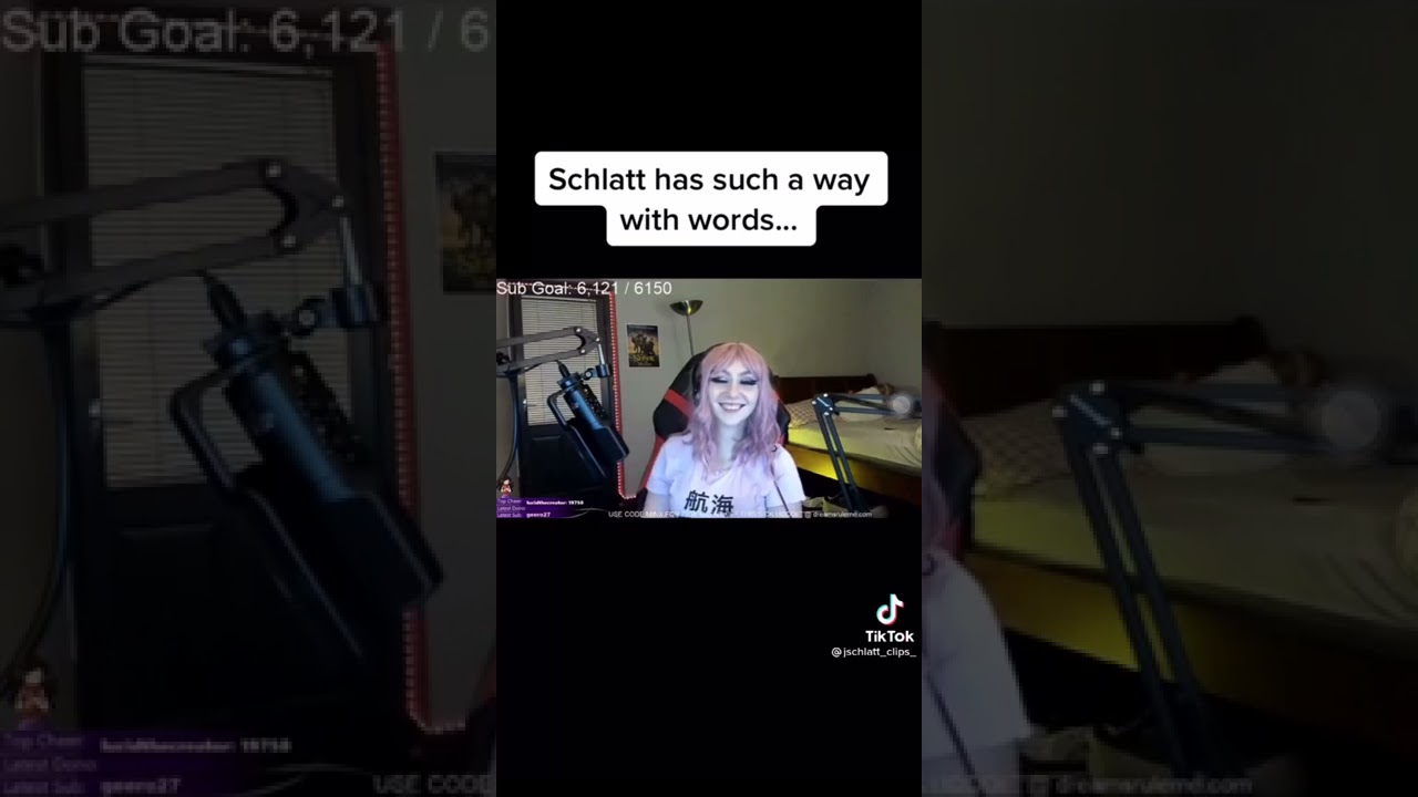 Mcyt tiktoks for the simps (super into minecraft players)