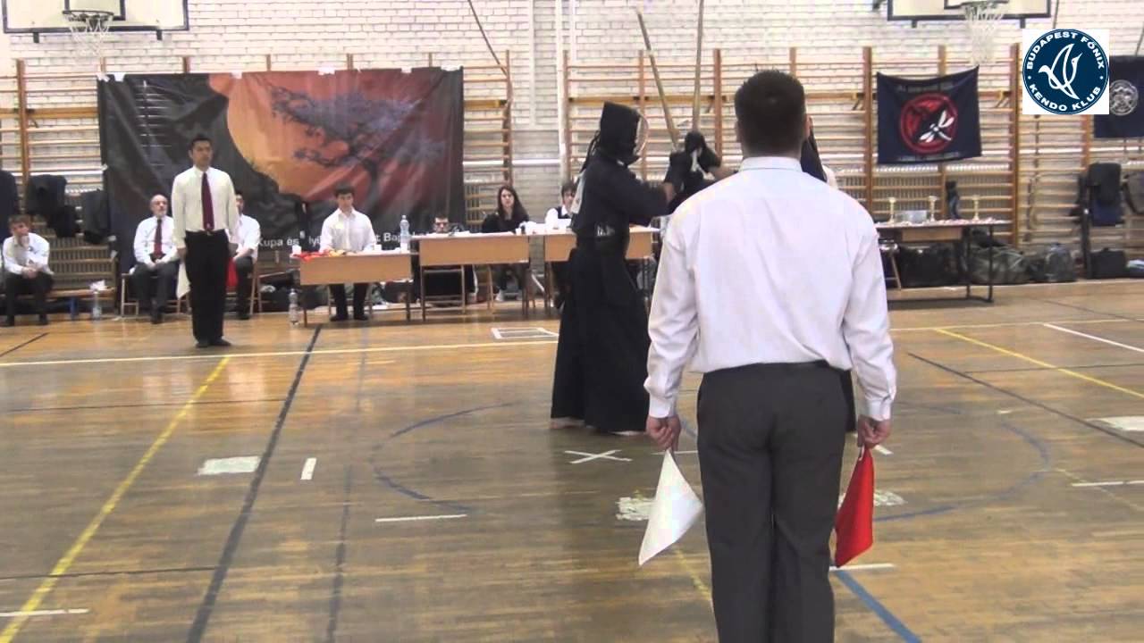 Budapest Sakura Kupa 2013 - Final Male - Dimic Miograd vs. Aleksandar Novaković