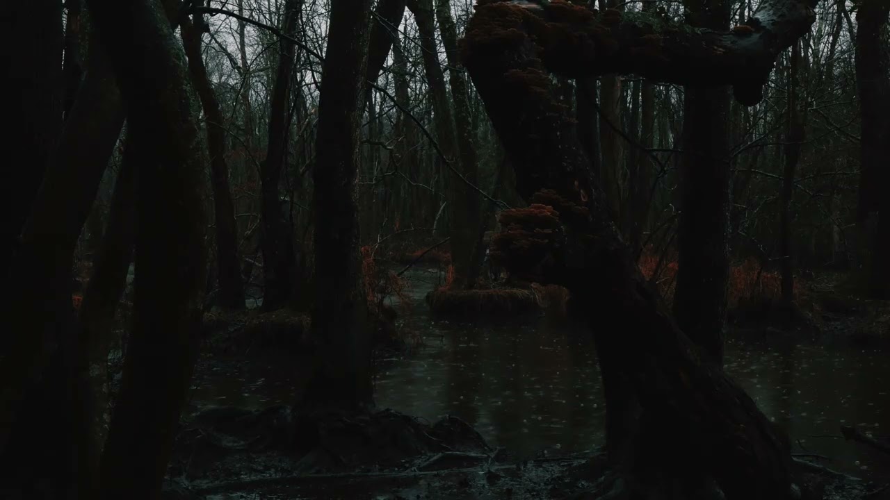 sleep Instantly 🌲 Deep Forest Rain for Instant Sleep (Dark Screen) | Stop Anxiety | Stress Relief |