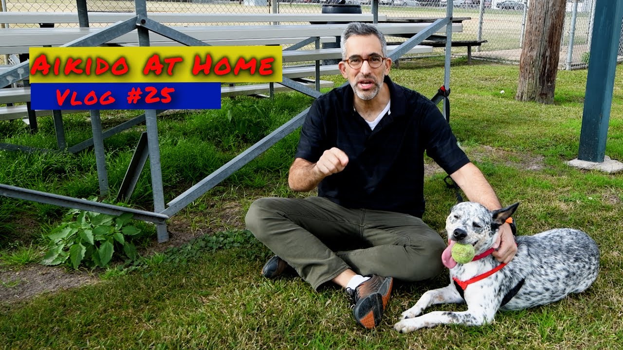 Aikido At Home Vlog #25 - Misogi No Jo