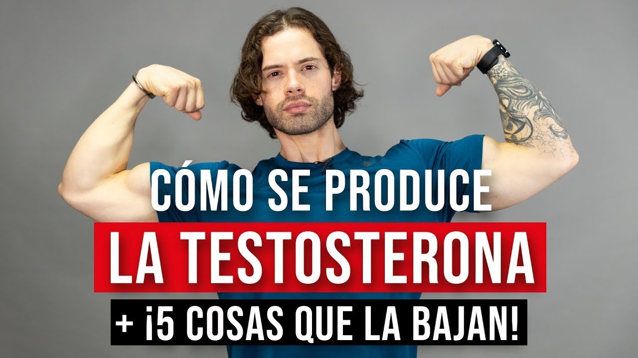 Cómo se produce la testosterona (y 5 cosas que la bajan ⚠)