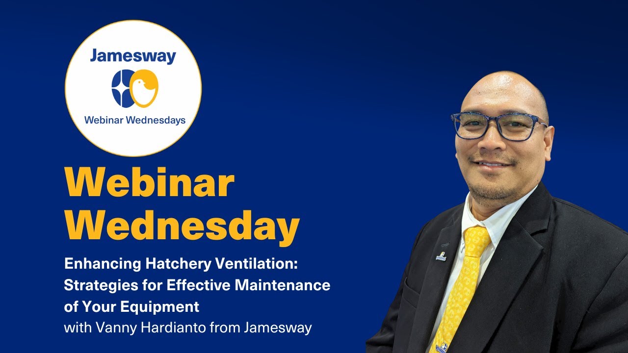 Enhancing Hatchery Ventilation: Strategies for Effective Maintenance of Your Equipment