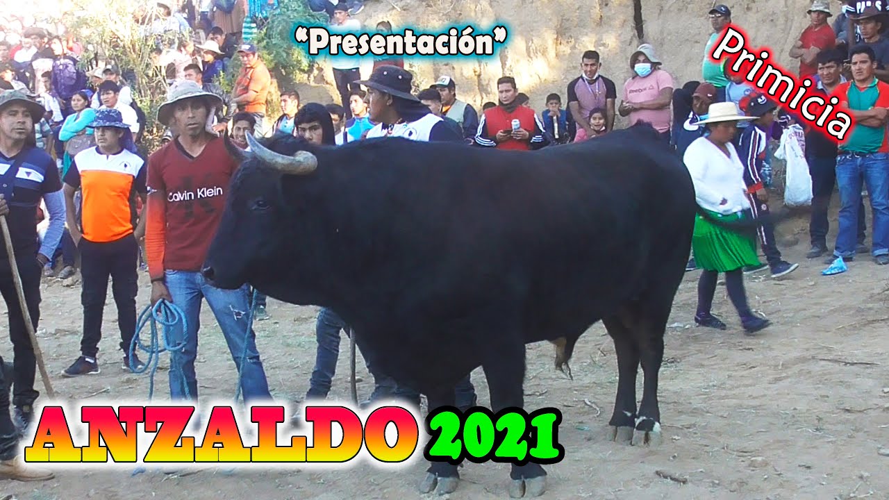 ANZALDO 2021- Toro Tinku, 