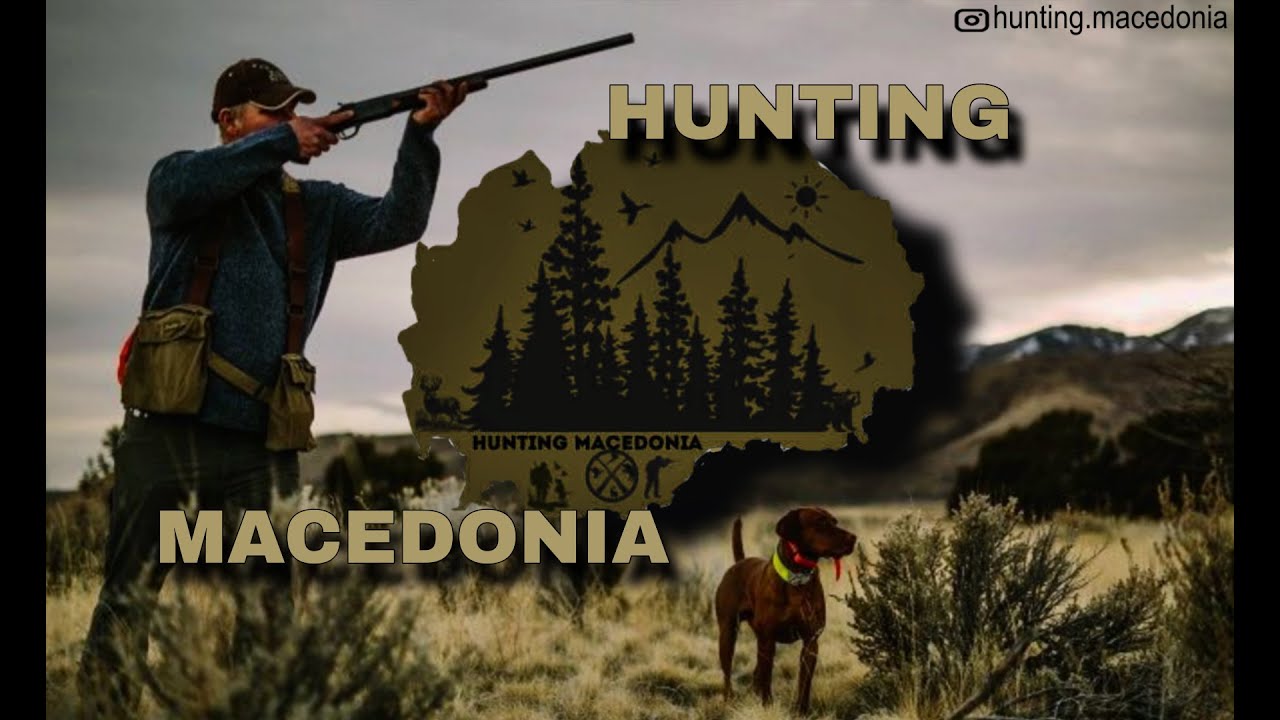 Лов на чакал, лисица Реален терен, вистинска акција/Jackal & fox hunting Real field true action 🦊