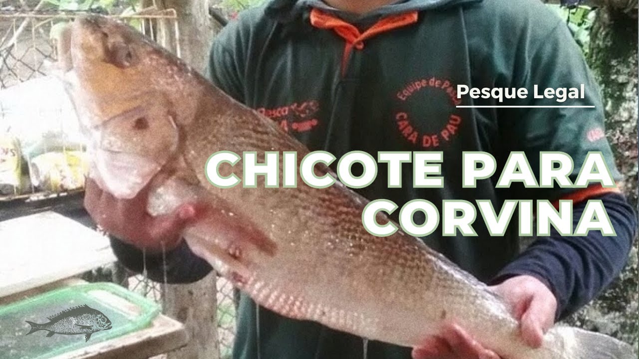 Como fazer Chicote para Corvina, simples e muito fácil 🎣