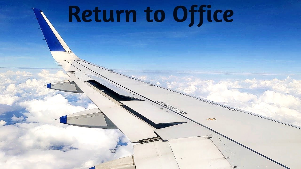 Software Engineer Returns to Office | From Poha To Biryani