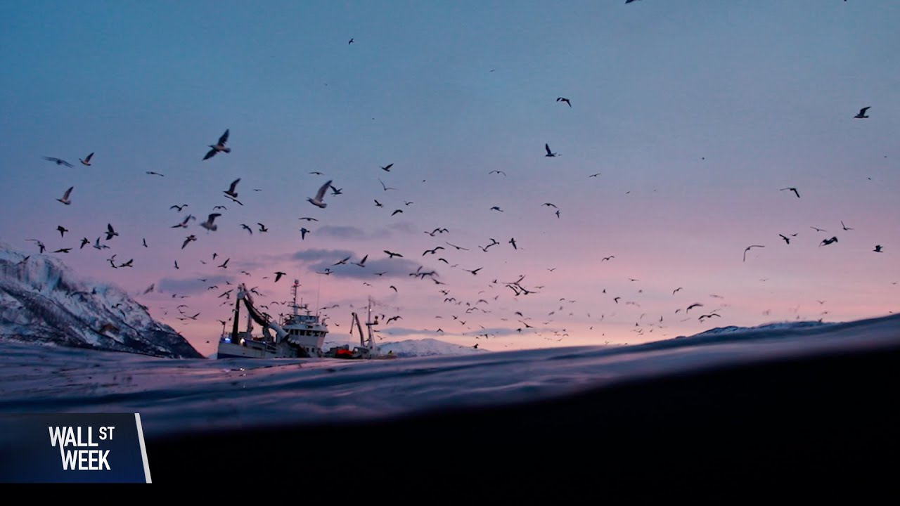 High Risk and High Reward of Undersea Cables