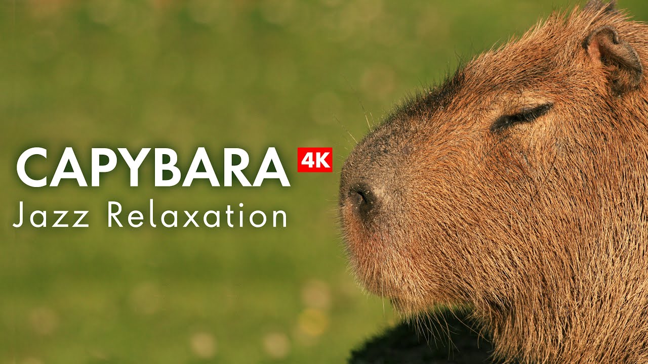 Relax with Capybaras & Jazz in 4K