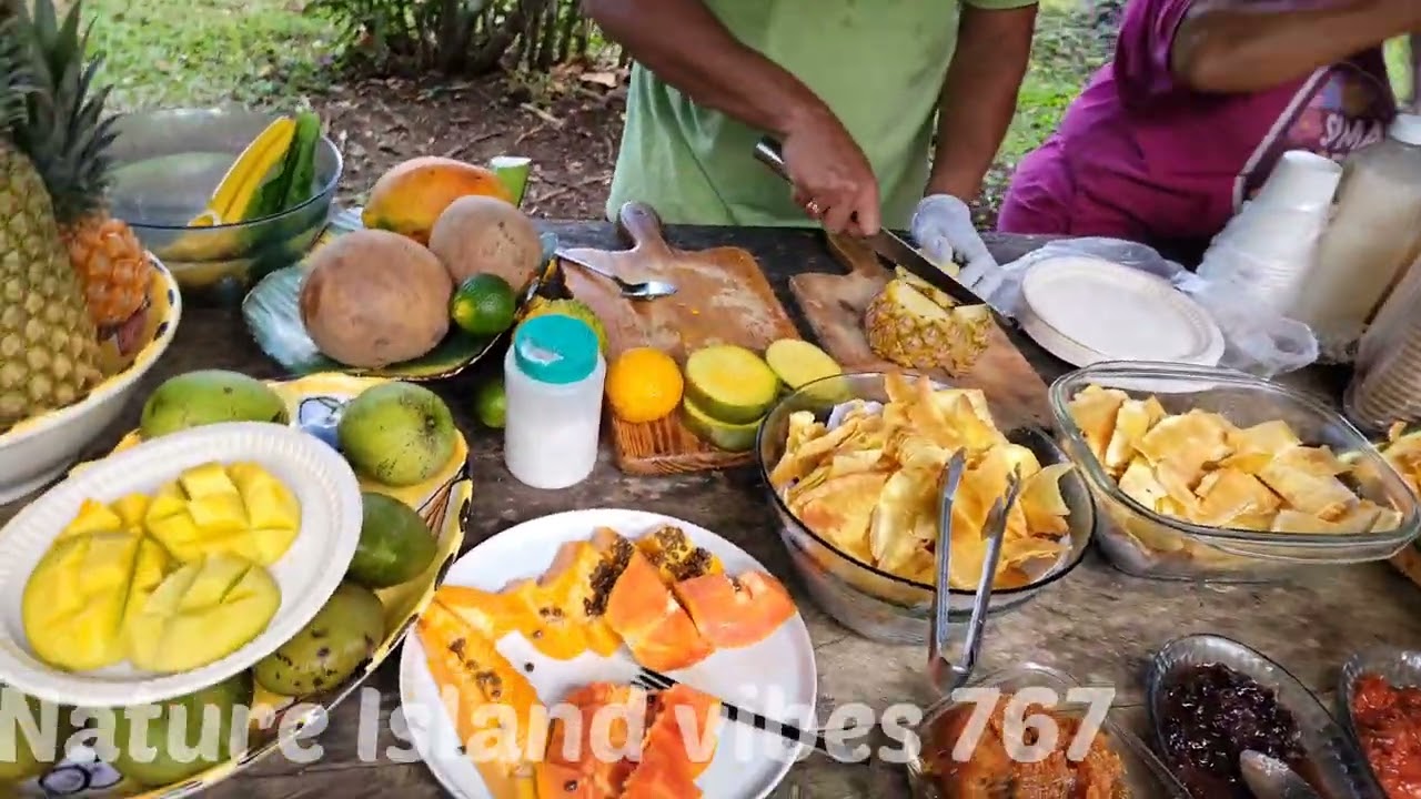 Nature Island vibes 767 presents , vacation and places to visit January 2026. 
