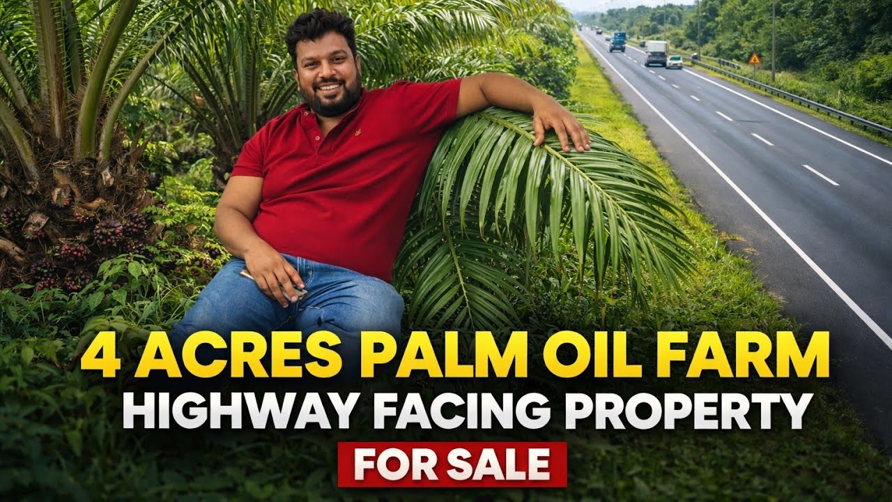 Highway property |4 ఎకరాల పామాయిలు తోట || 225 గజాల రోడ్డు facing