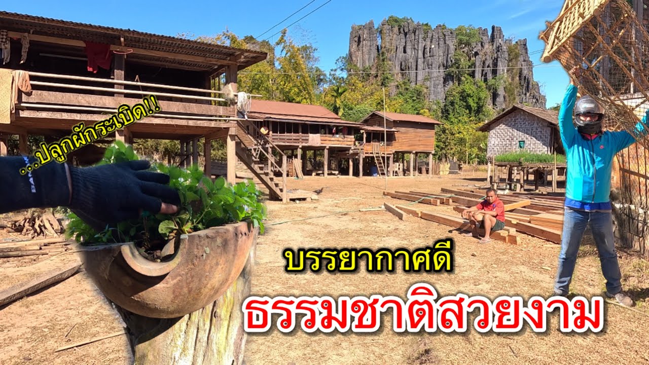 เที่ยวลาว ชมหมู่บ้านชนบทในลาว เก็บเปลือกระเบิดมาปลูกผัก บรรยากาศสวย สงบ น่าเที่ยวมาก