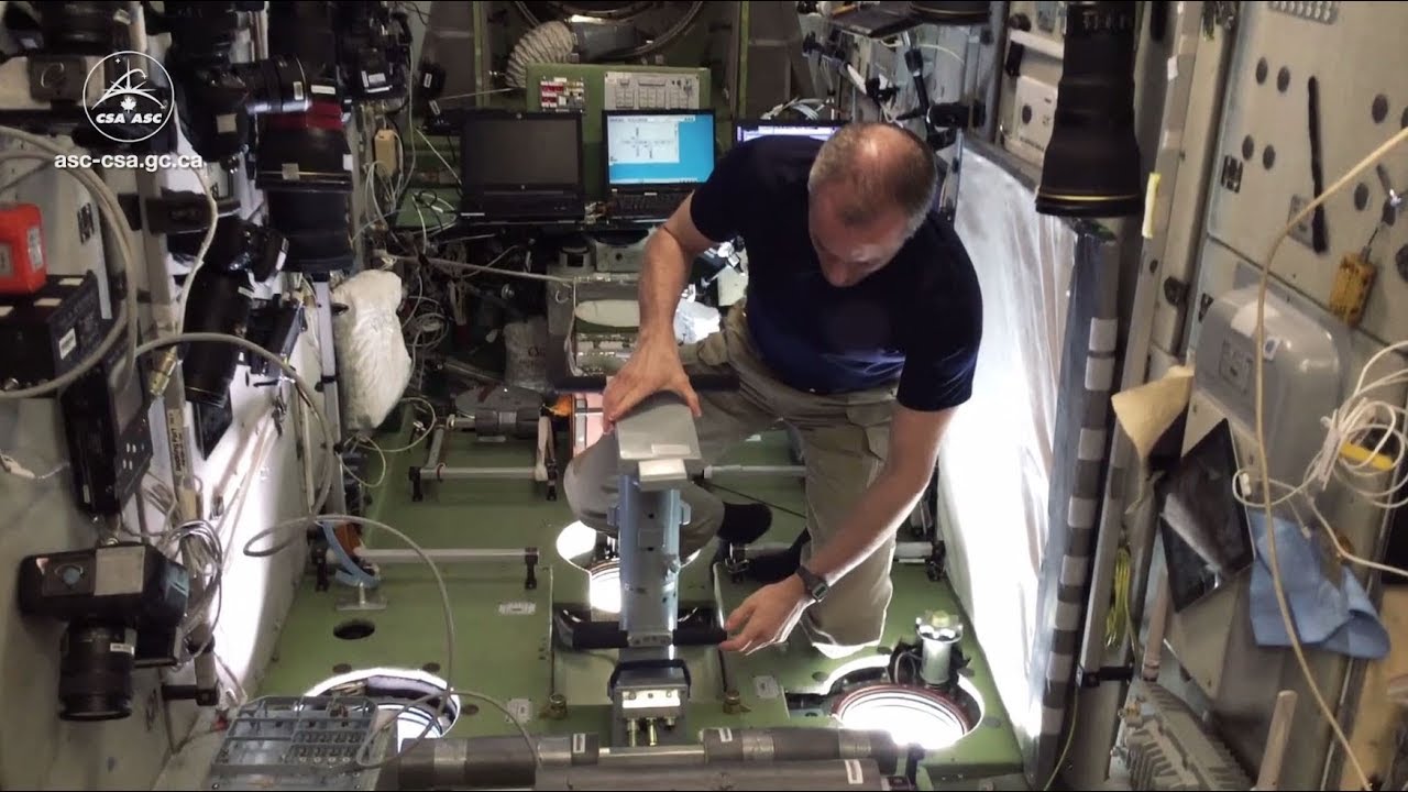How do astronauts weigh themselves in space?