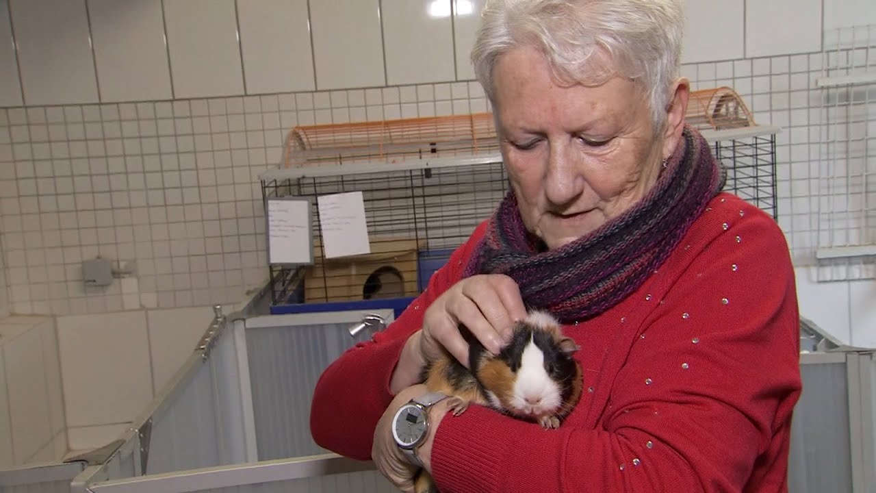 Tierheim Pirna unterst&uuml;tzt neue Besitzer