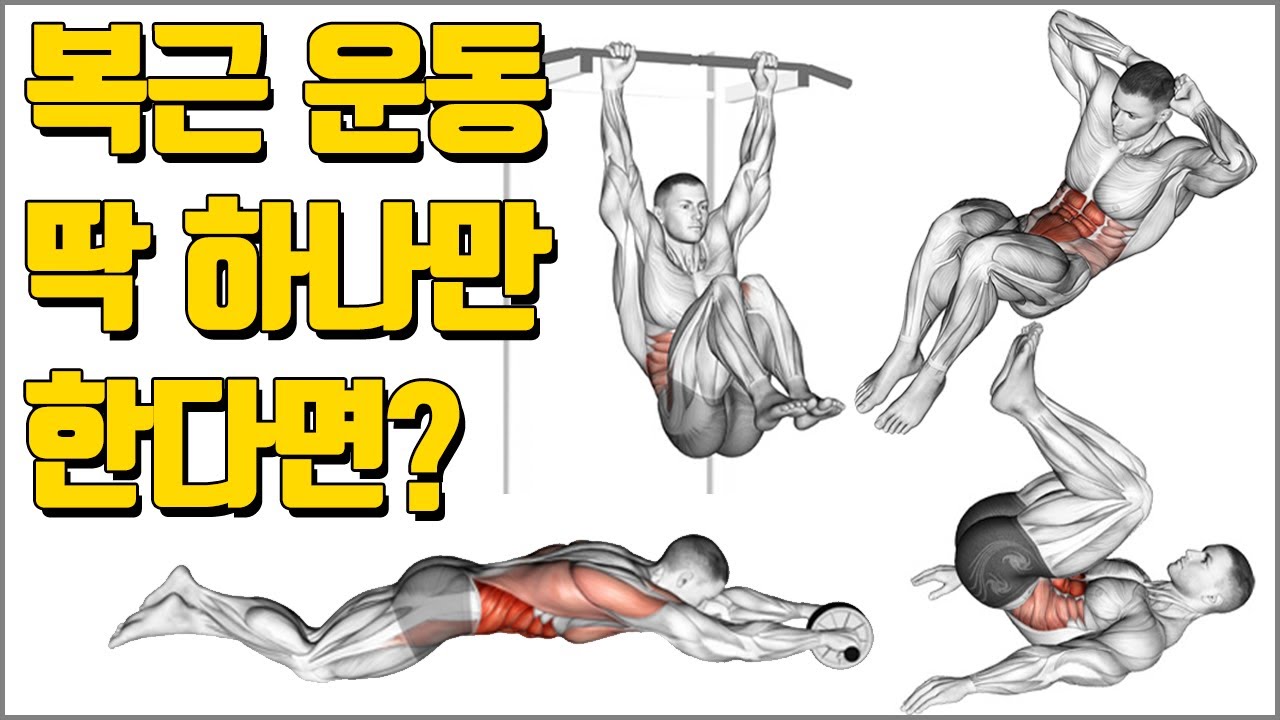 복근 운동 딱 하나만 한다면? [최고의 복근 운동]