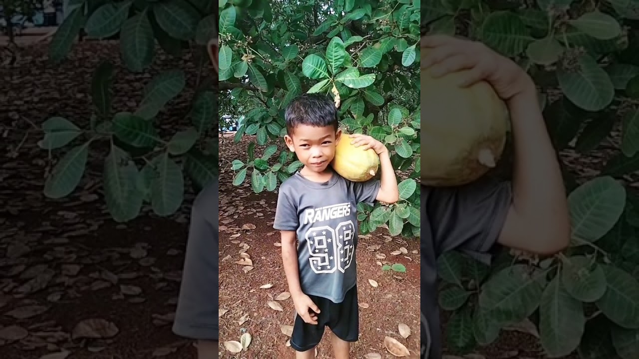 នាយ ជ្រក់ កំប្លែង កាយវិការ ខ្លីៗ សប្បាយ សើច 😂😂 #funny #comedy 