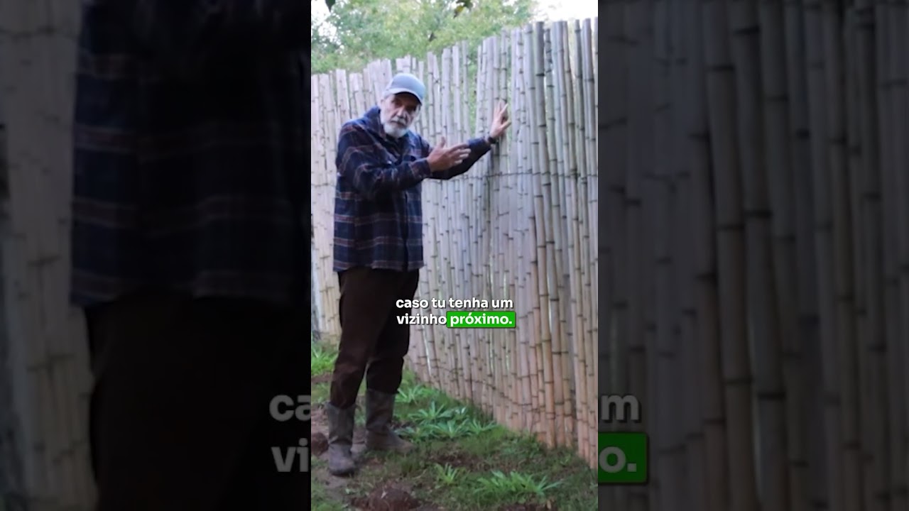 Cerca de bambu