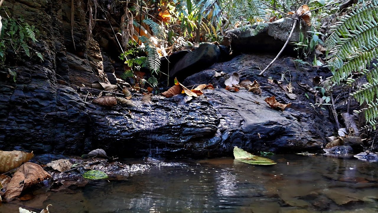 8K Babbling Water Sounds/Relaxing Forest Stream Sounds/Nature Ambience.