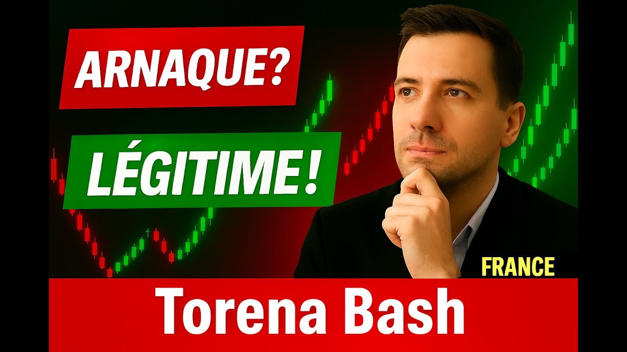 Torena Bash Avis 2026 : Arnaque ou Légitime ? Fonctionnalités, Risques et Opinions des Utilisateurs
