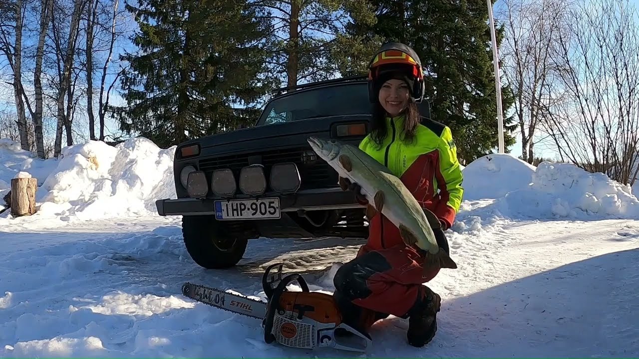 Pölkynveistäjän kevätpuuhia
