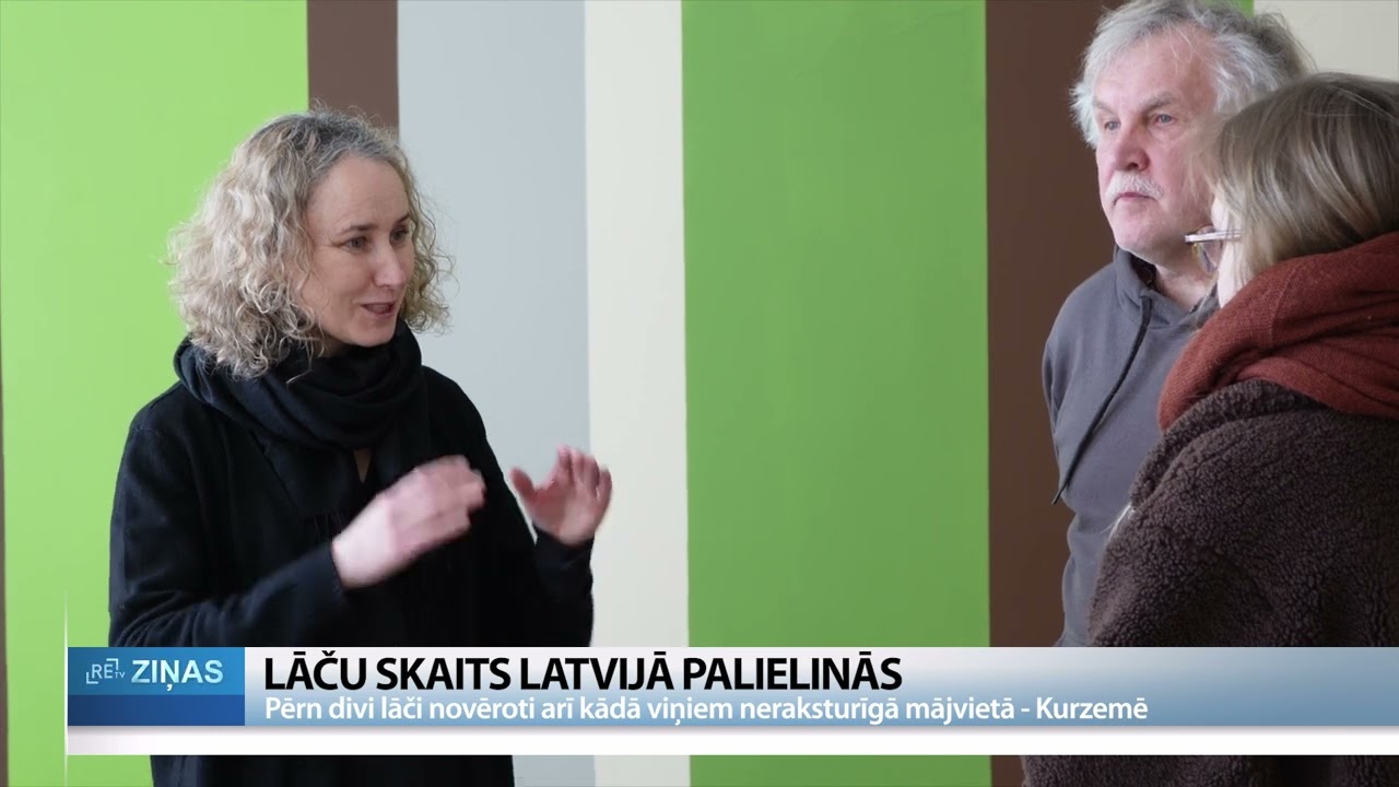 Latvijā turpina izplatīties brūnie lāči