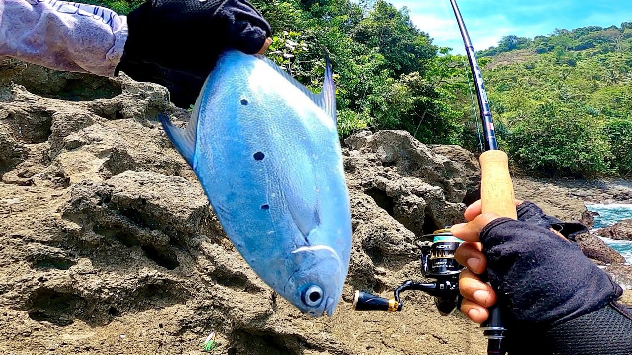 LANGSUNG AMIS ‼️ BARU SAMPEK SPOT DI SERBU KAWANAN IKAN PINGGIRAN INI