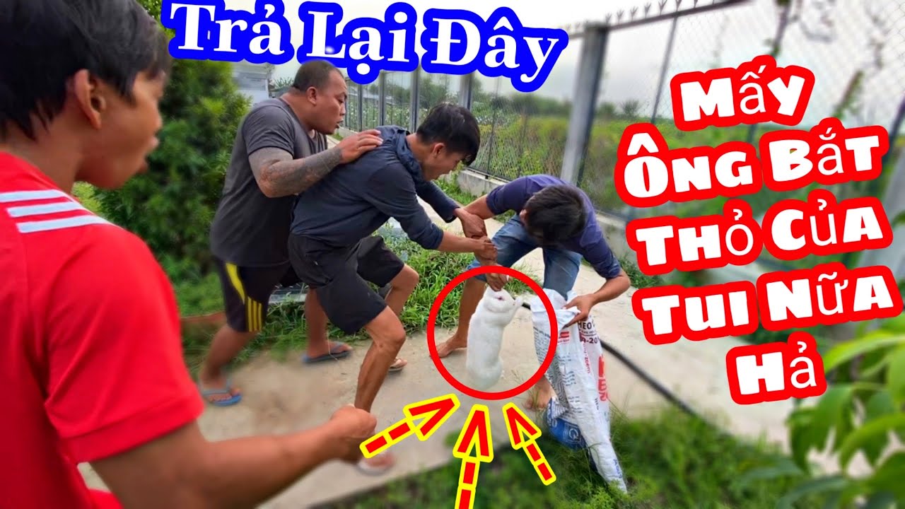 TXVL - Con Thỏ Quý Của Cameraman Lại Bị Thánh Xàm Đưa Lên Thớt