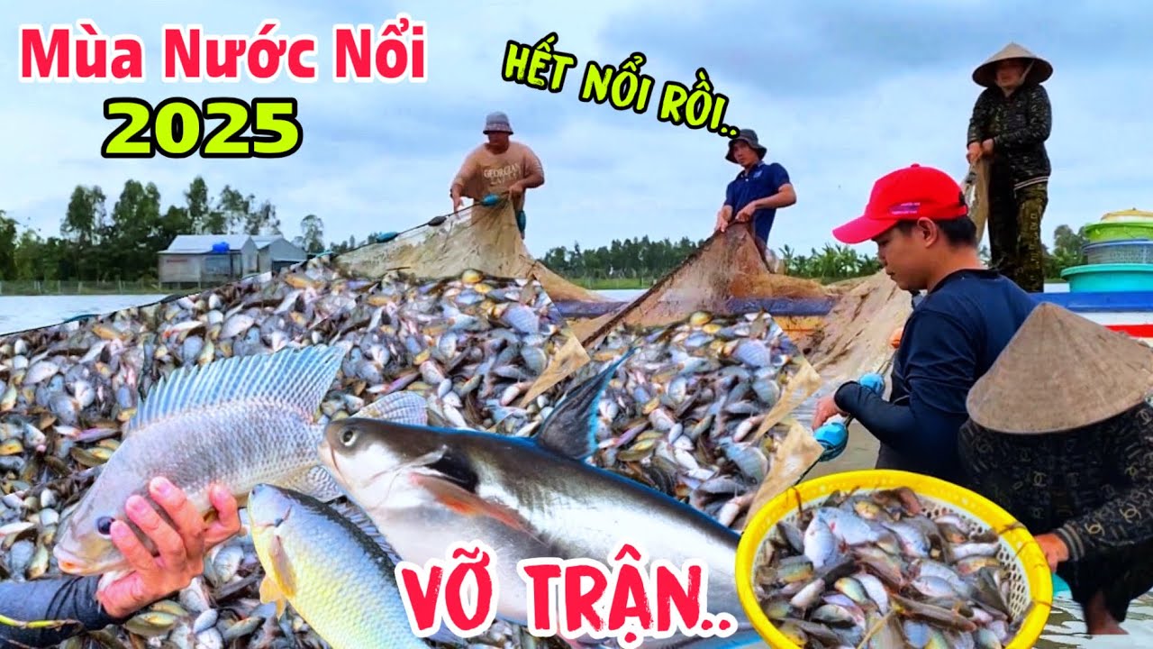 Kinh Khủng Kéo 1 Lưới Cả 100 Ký Ba Con Chúng Lớn Vì Cá Quá Nhiều 