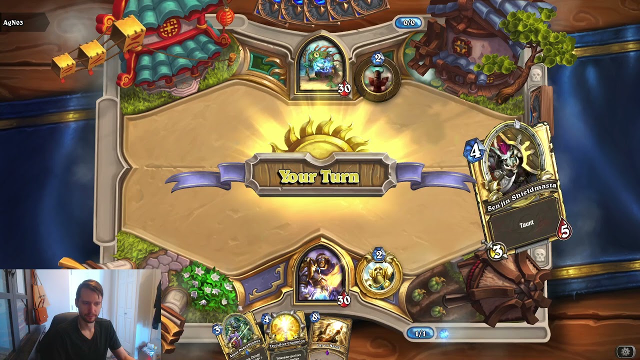 Hearthstone: Classic Control Paladin!