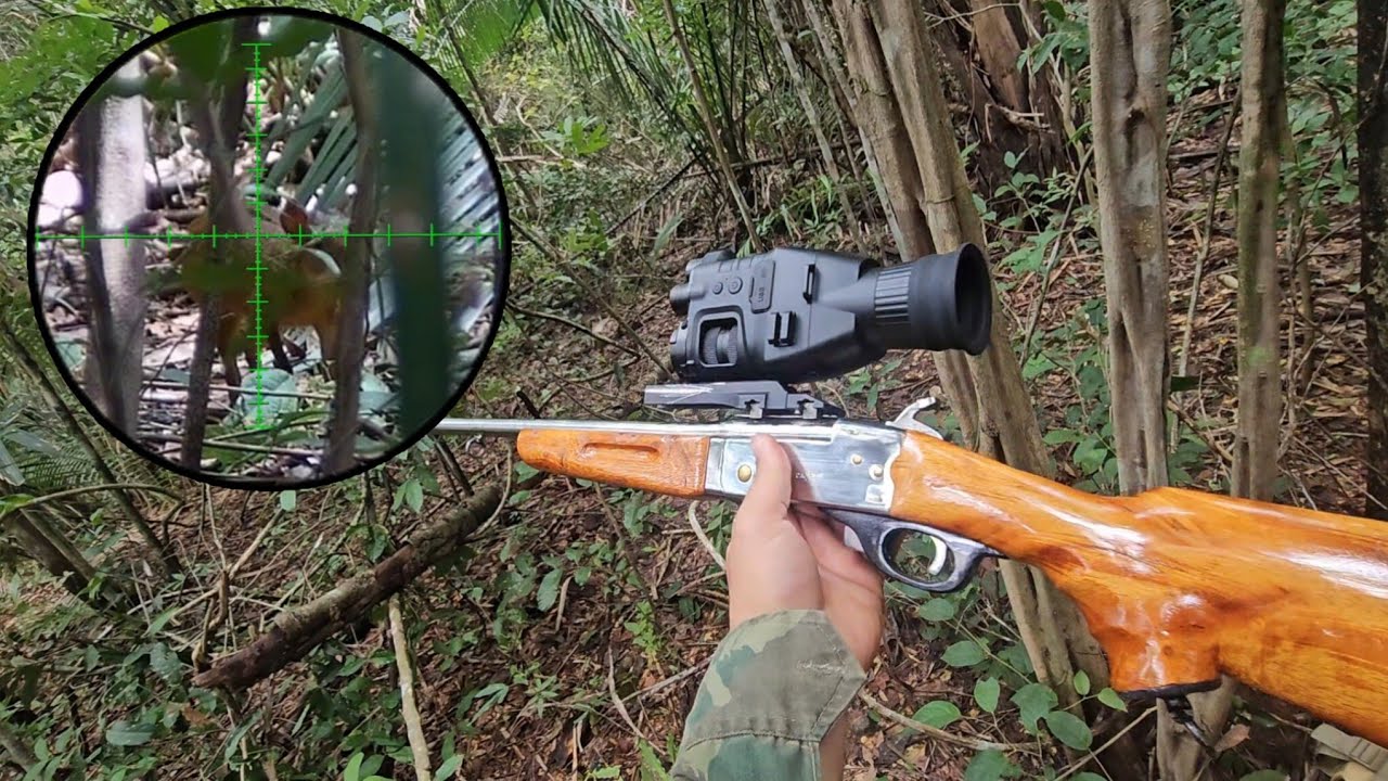 Caçada de Cutia no Batuque com cl.32 💥 Visão Noturna henbaker Cy789 🎯 