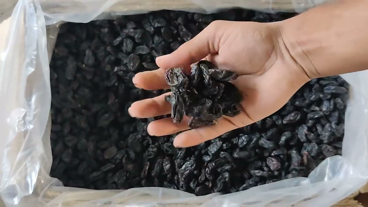 Black jumbo raisins