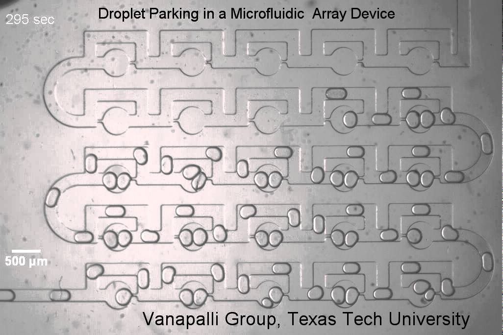 Droplet Trapping in a Microfluidic Device
