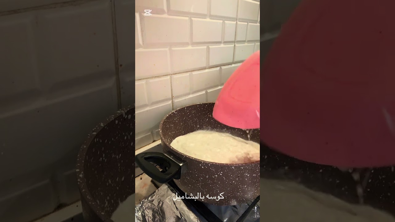 كوسه بلبشاميل خطيرررره 