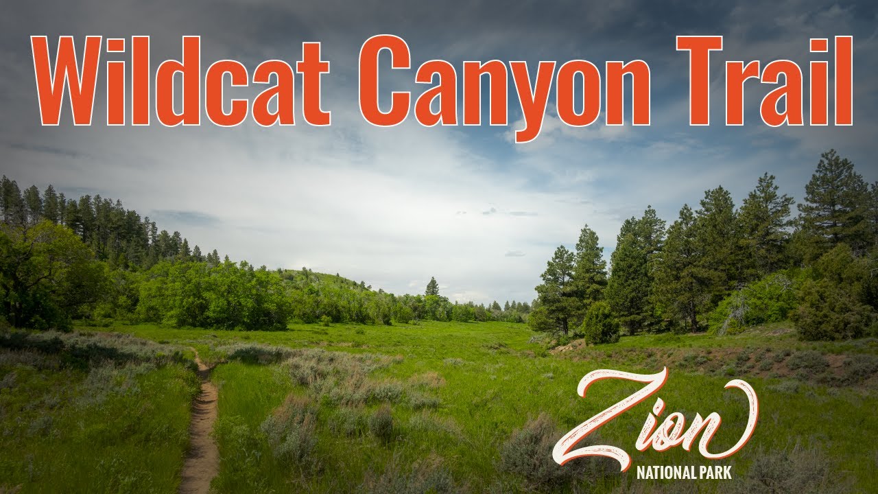 Hiking to Zion West Rim Via Wildcat Canyon Trail