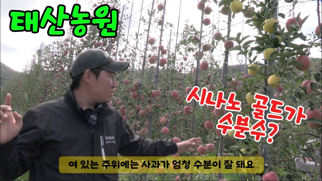 장수군농업기술센터/농군사관학교/다축,밀식/태산농원 현장견학