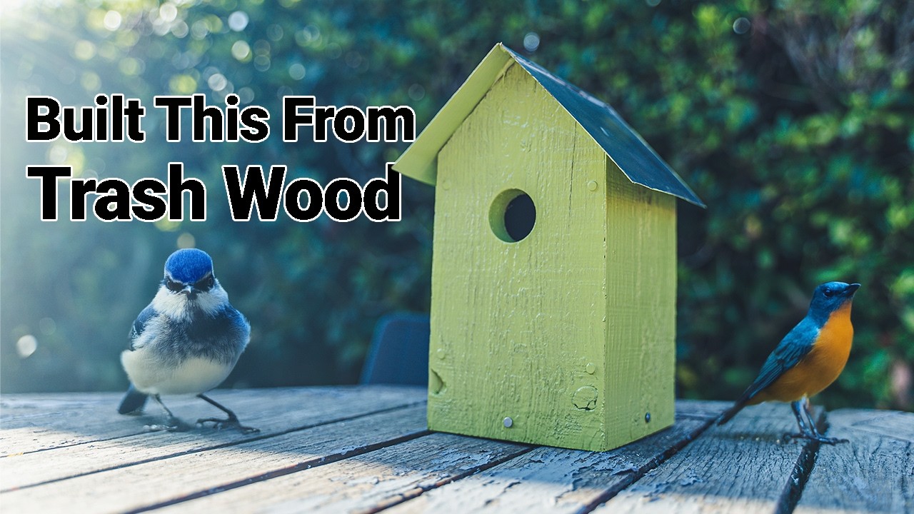 DIY Birdhouse From Old Pallets – No Plans, Just Tools