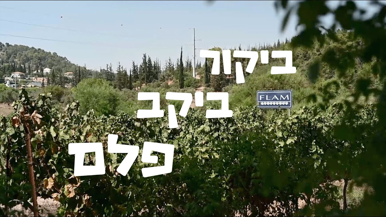 יאיר היידו מבקר את יקב פלם