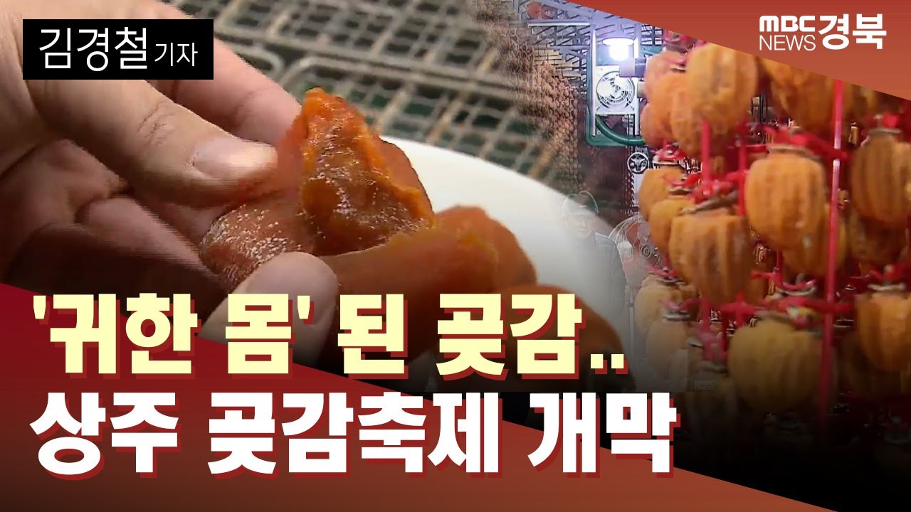 '귀한 몸' 된 곶감..상주 곶감축제 개막/ 안동MBC