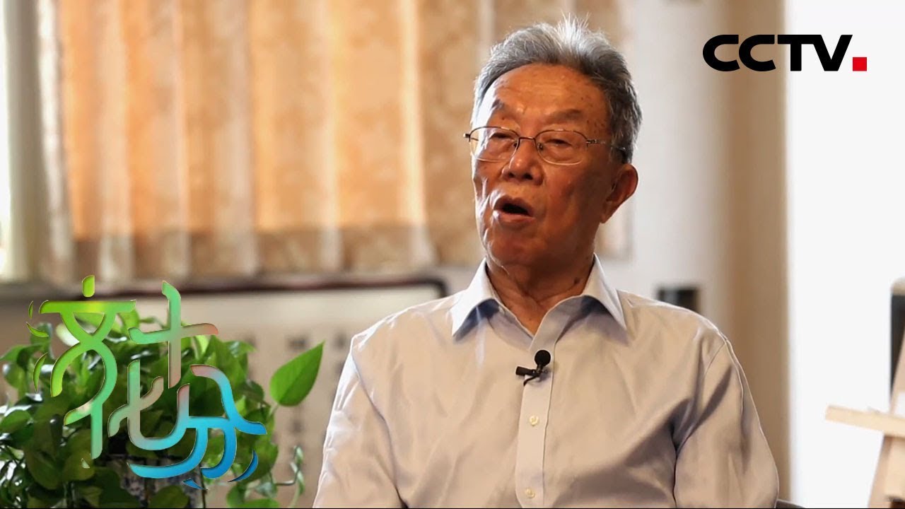 《文化十分》 文化大家 王蒙：永远前进在文学的道路上 20200311 | CCTV综艺