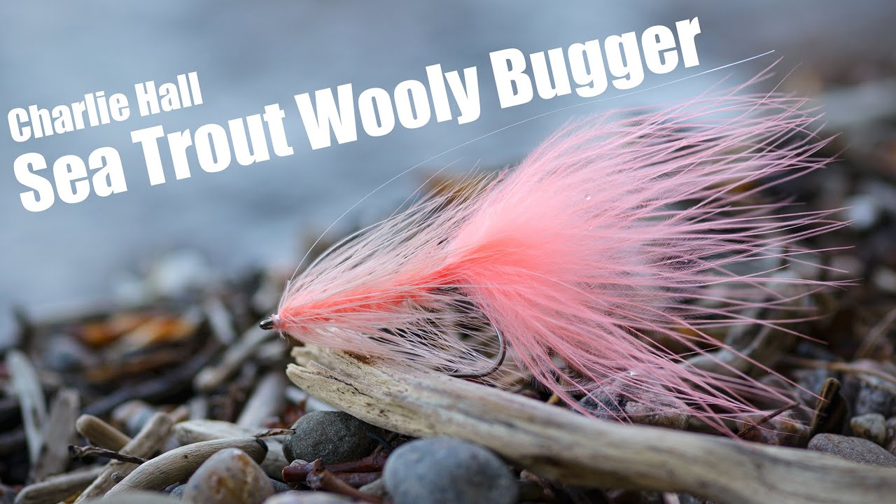 Sea Trout Wooly Bugger by Charlie Hall