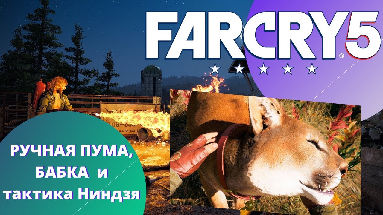 Играем с киской в Far Cry 5 (ПУМА)