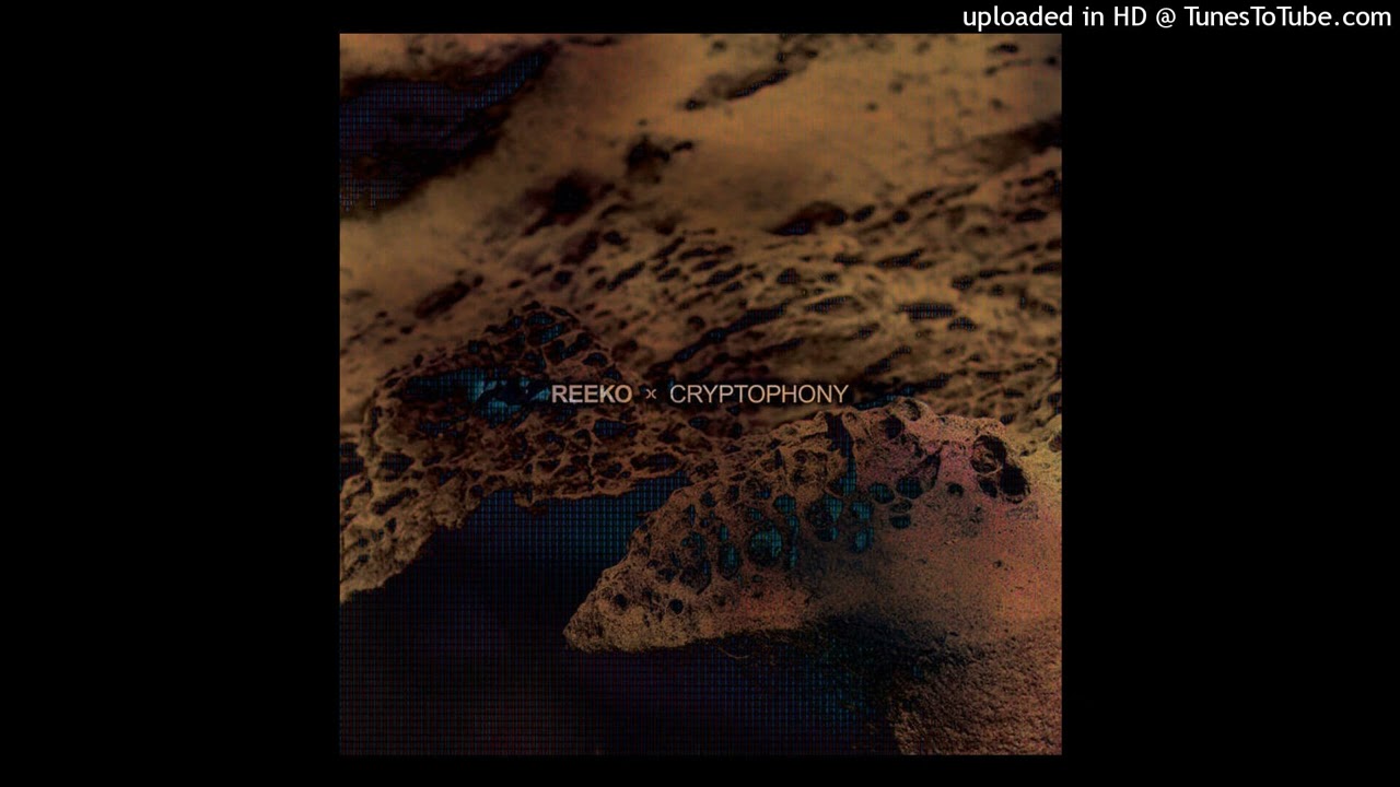 Reeko - Retumbra