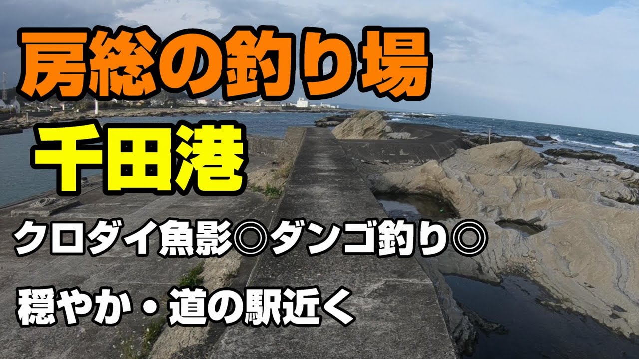 房総の釣り場、千田港、クロダイの魚影が濃く穏やかでダンゴ釣りに向く釣り場。道の駅近く環境が良いので家族でも〇