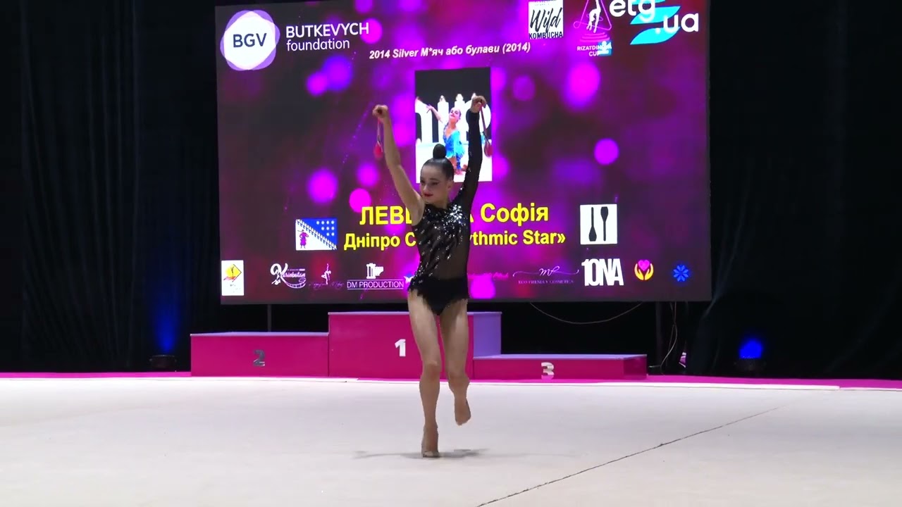 Левшина Софія 2014 булави