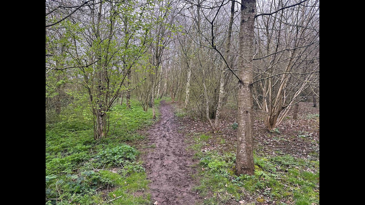 Upton Upon Severn Rivers and Fields - Springtime wildlife and beautiful views on an 6km walk ASMR